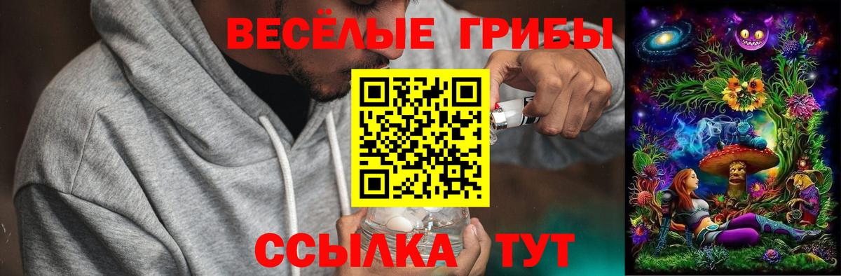 Псилоцибиновые грибы ЛСД Сертолово